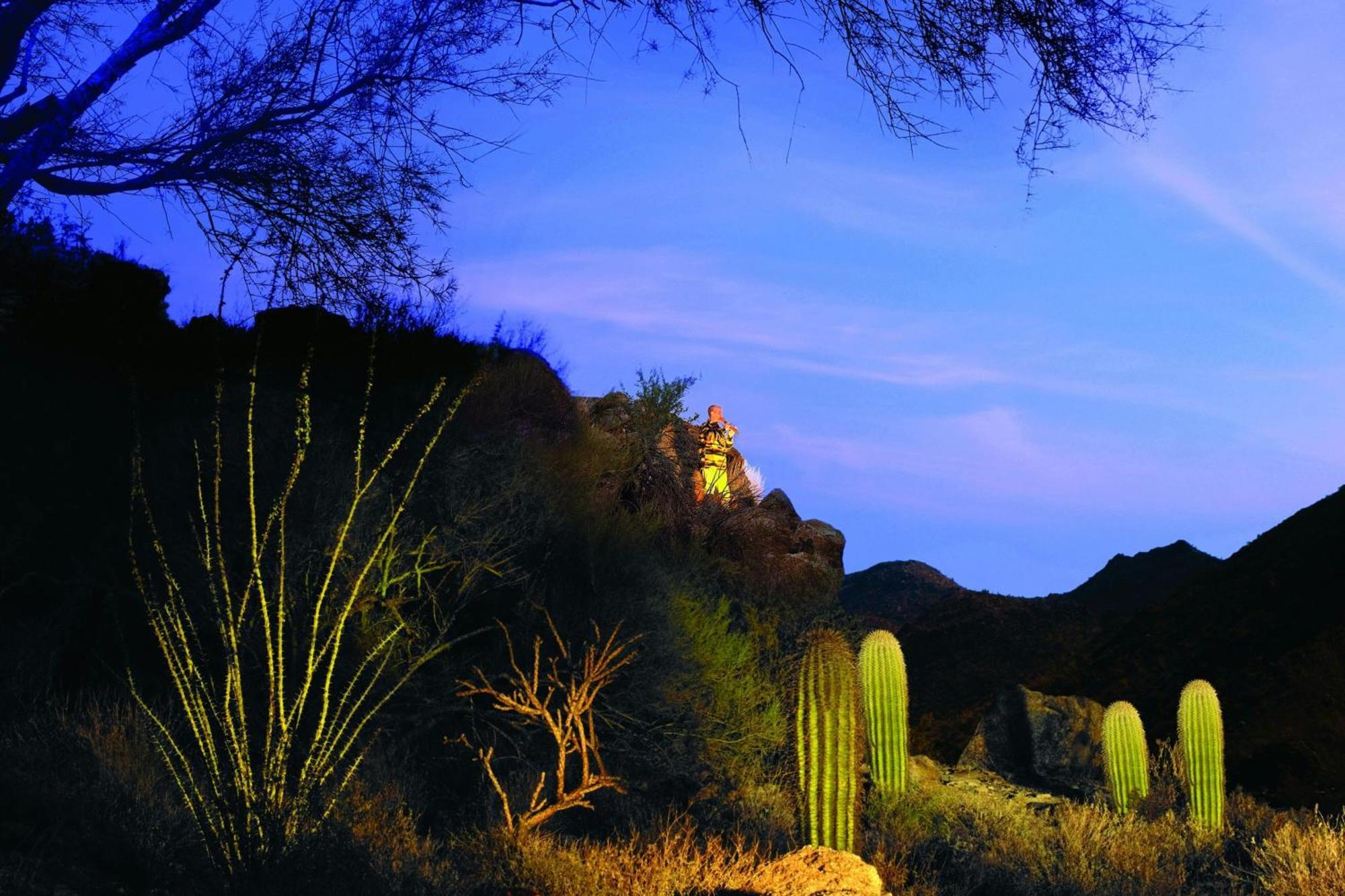The Ritz-Carlton, Dove Mountain Marana Exterior foto